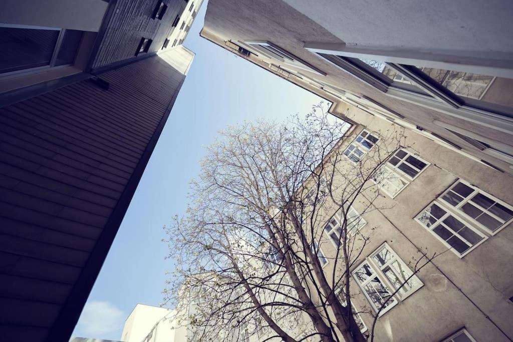 Ideal For Families & Mid-term-stays Vienne